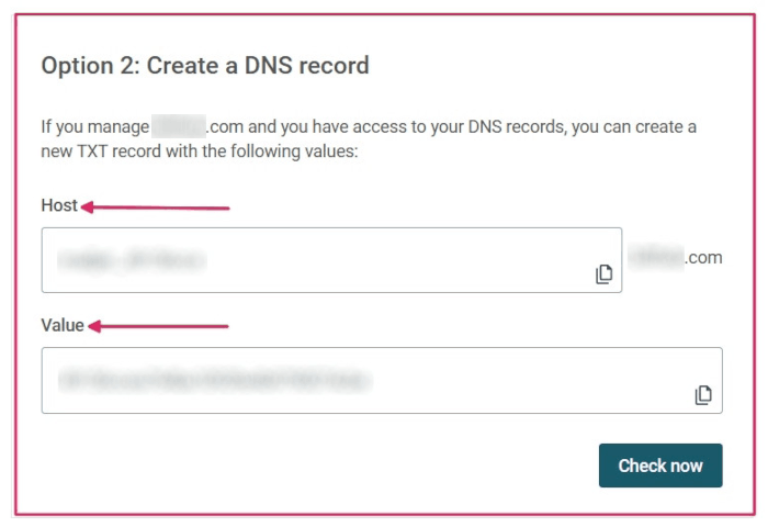 The TXT record information to input on the domain's DNS.