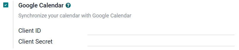 The Google Calendar checkbox in General Settings.