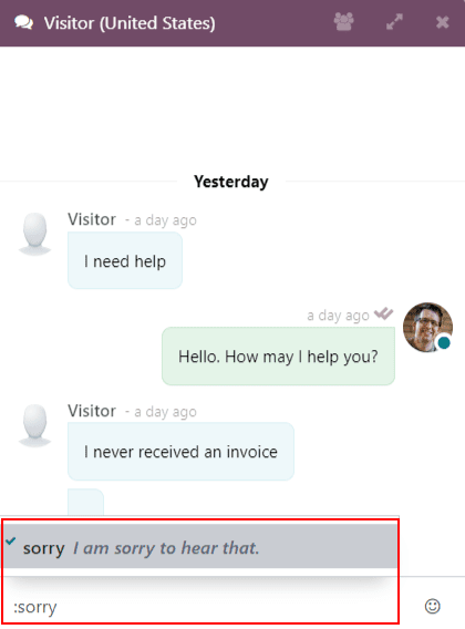 在Odoo Live Chat中查看聊天窗口和使用预设回复。